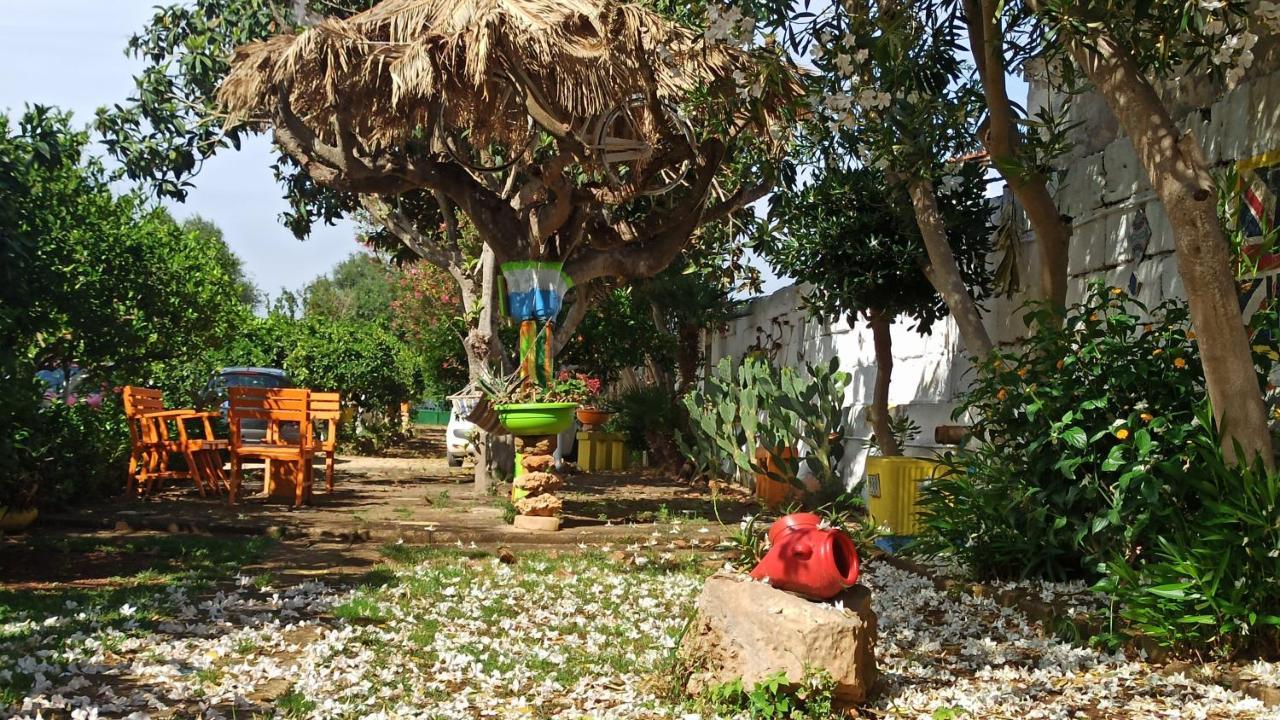 Zagara Di Sicilia Villa Марсала Екстериор снимка